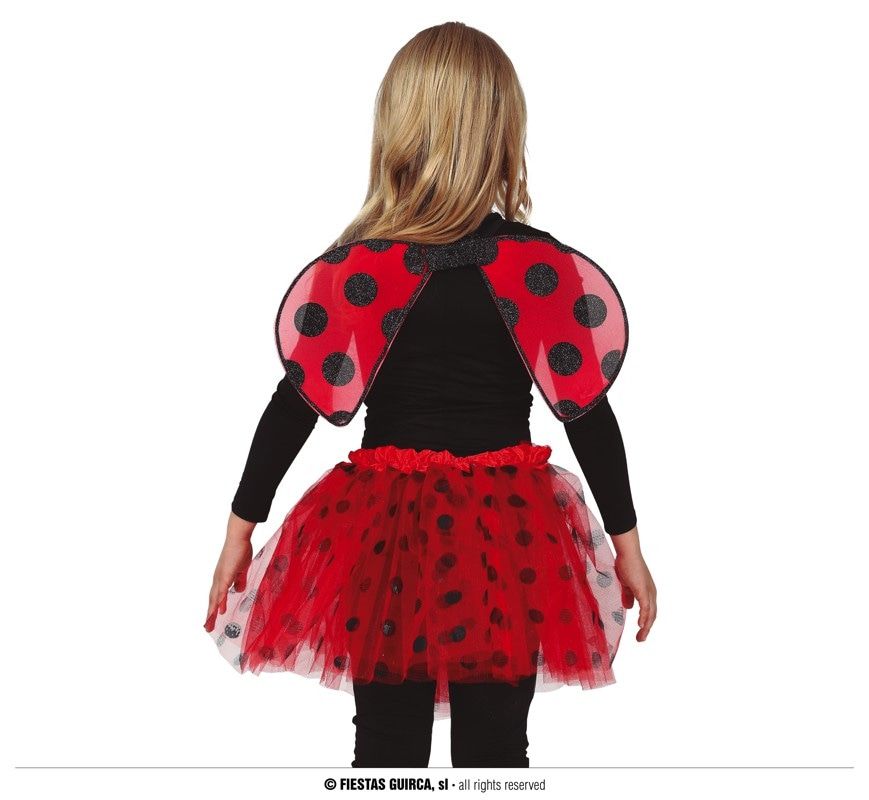 Lieveheersbeestje Lady Bug Set