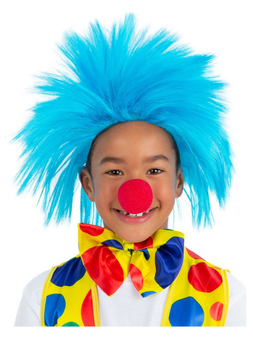 Wildebras Clown Pruik Blauw