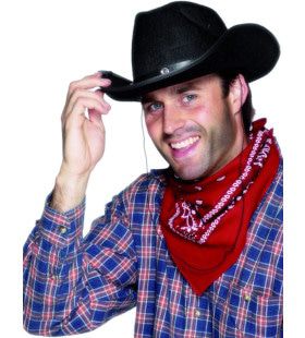 Bandana Cowboy