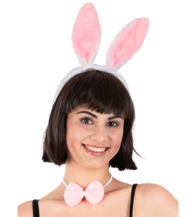 Play Bunny Set