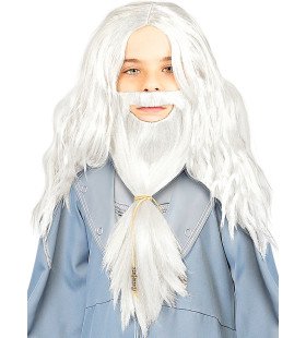 Magier Dumbledor Harry Potter Pruik Met Baard Wit