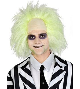 Gekke Professor Beetlejuice Pruik