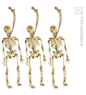 Skeletjes 15 Centimeter