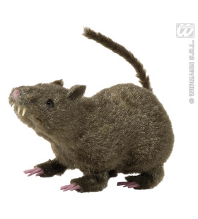 Harige Rat, 21 Centimeter