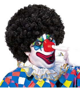 Afro Clownpruik Krullen, Zwart