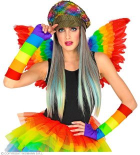 Fantasie Festival Regenboog Pet Met Haar