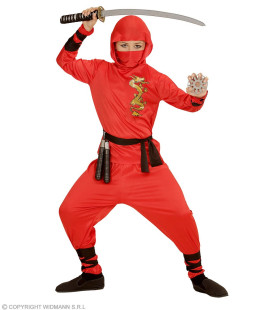 Red Dragon Ninja Strijder Jongen Kostuum