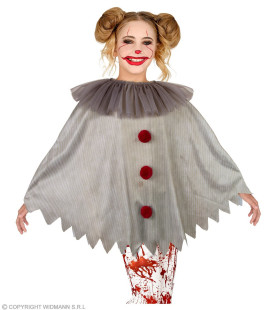 Horror Clown Wijze Penny Poncho Kind Kind