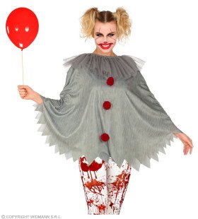 Horror Clown Penny Wijs Poncho