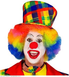 Kleurige Hoed Clown Geblokt