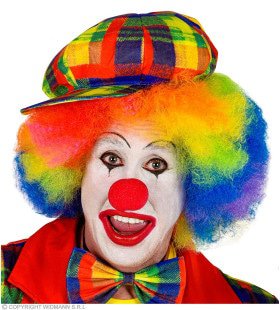 Vet Kleurige Pet Clown Geblokt