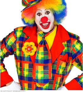 Vrolijke Stropdas Clown Geblokt