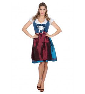 Heidi Edelweiss Oktoberfest Dirndl Blauw Vrouw Kostuum