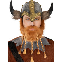 Stoere Viking Baard Met Vlechtjes