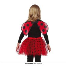 Lieveheersbeestje Lady Bug Set