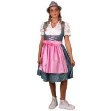 Heidi Bierdrager Dirndl Vrouw Kostuum