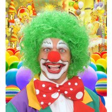 Pruik, Clown Groen