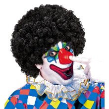 Afro Clownpruik Krullen, Zwart