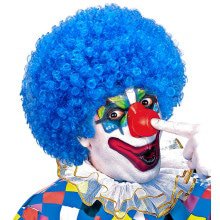 Afro Clownpruik Krullen, Licht Blauw