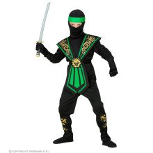 Gevreesde Draken Ninja Groen Kind Jongen Kostuum