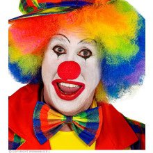 Keurige Kleurige Vlinderstrik Clown